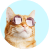 user profile